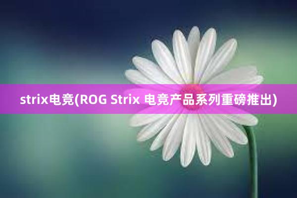 strix电竞(ROG Strix 电竞产品系列重磅推出)