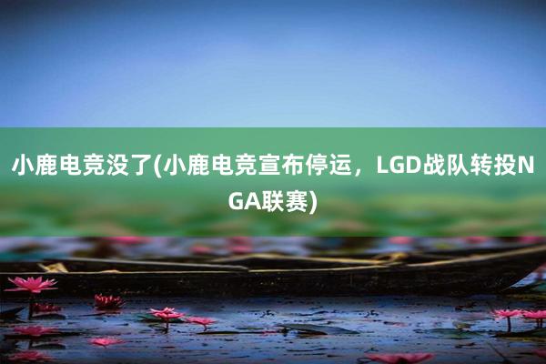 小鹿电竞没了(小鹿电竞宣布停运，LGD战队转投NGA联赛)