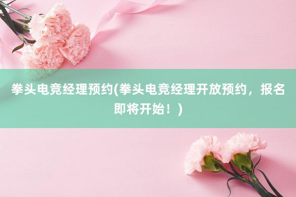 拳头电竞经理预约(拳头电竞经理开放预约，报名即将开始！)