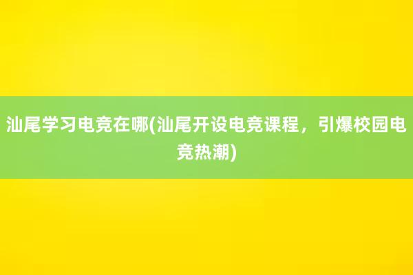 汕尾学习电竞在哪(汕尾开设电竞课程，引爆校园电竞热潮)