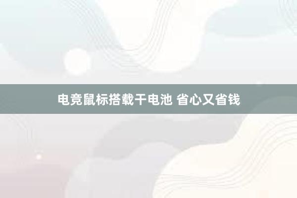 电竞鼠标搭载干电池 省心又省钱